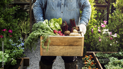 Man holding crate of organic fresh agricultural product