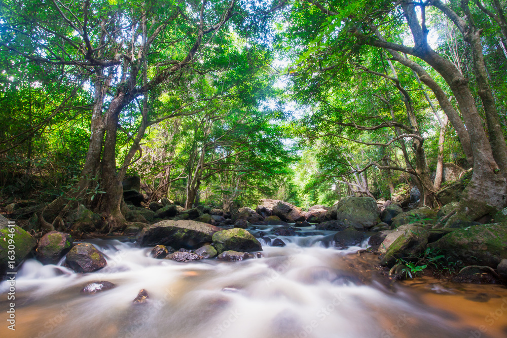 Fototapeta premium Waterfalls flowing through streams in deep forests.