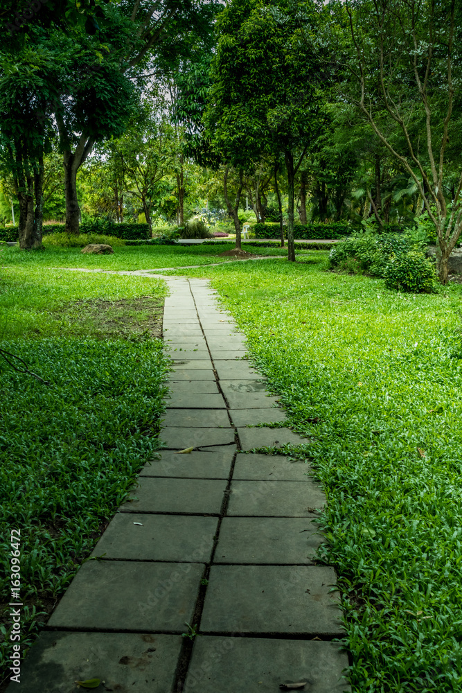 Pathway in park