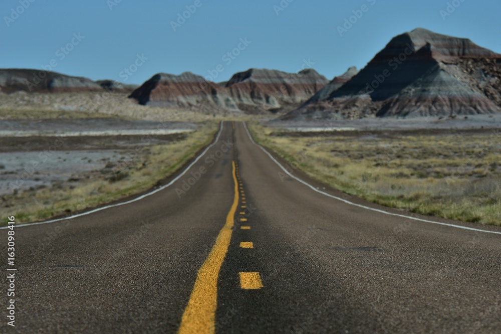 Road through Petrified Forest