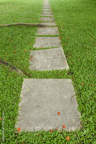 Walk path concrete block with green grass and tree roots in the garden
