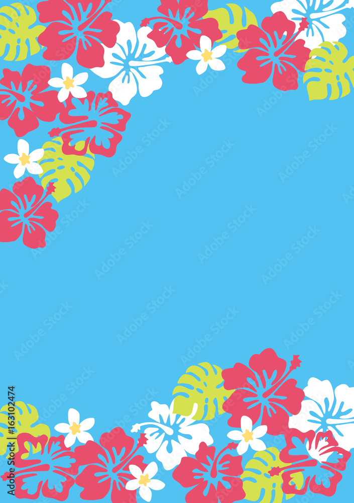 Obraz premium 海 夏 可愛い ハイビスカス