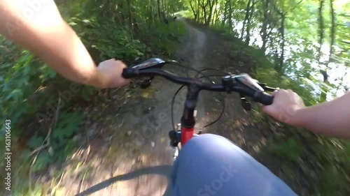Go pro action camera cycling in a deciduous forest on a dirt road on a sunny day in summer. Extreme natural background. Loop.