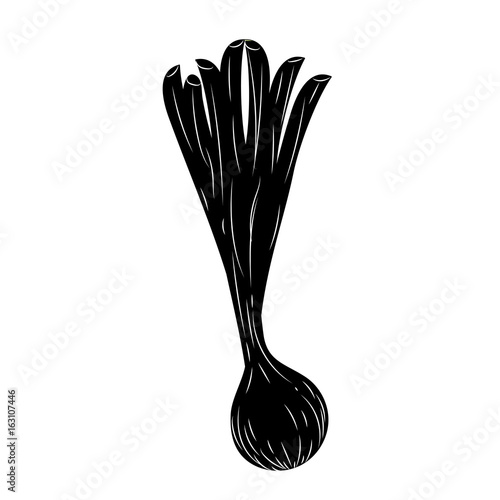 contour fresh long onion plant vegetable