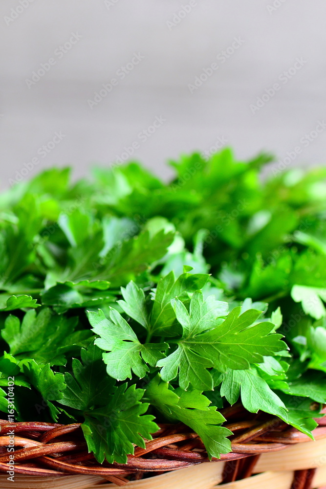 Fresh parsley herbs. Parsley sprigs in a wicker basket. Vertical photo Fresh parsley herbs. Parsley sprigs in a wicker basket. Vertical photo