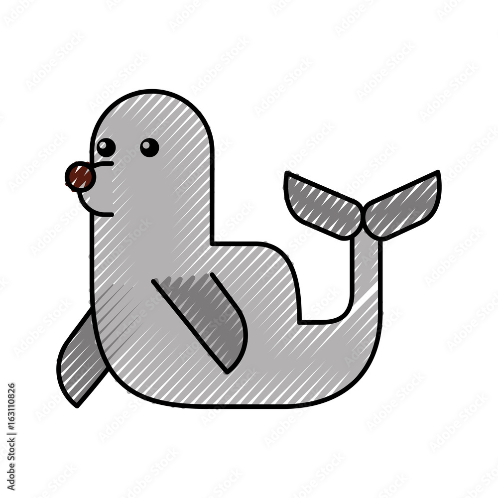 cute seal isolated icon vector illustration design cute seal isolated icon vector illustration design