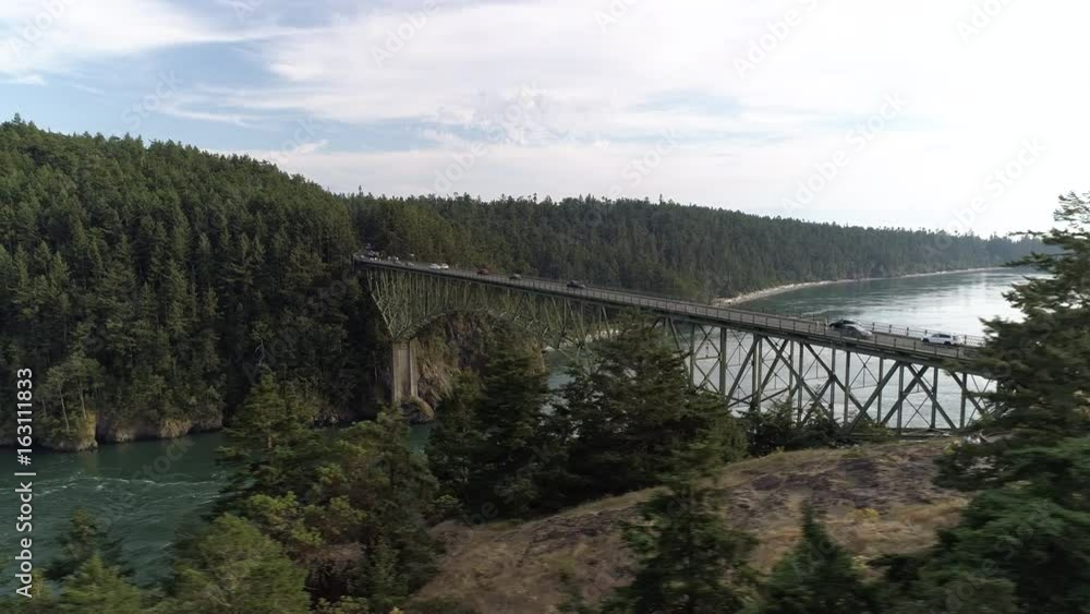 Forest Trees Drone Reveal of Cars in Commute on High Ocean Bridge in Pacific Northwest Forest Trees Drone Reveal of Cars in Commute on High Ocean Bridge in Pacific Northwest