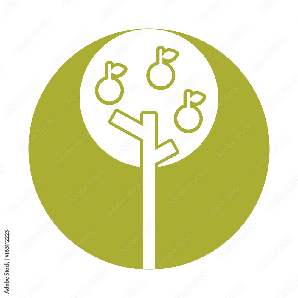 apple tree isolated icon vector illustration design apple tree isolated icon vector illustration design