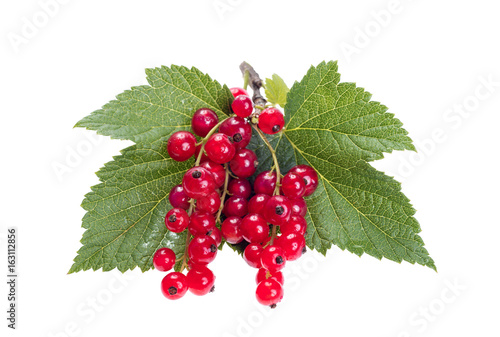 Red currant isolated on white background close up.