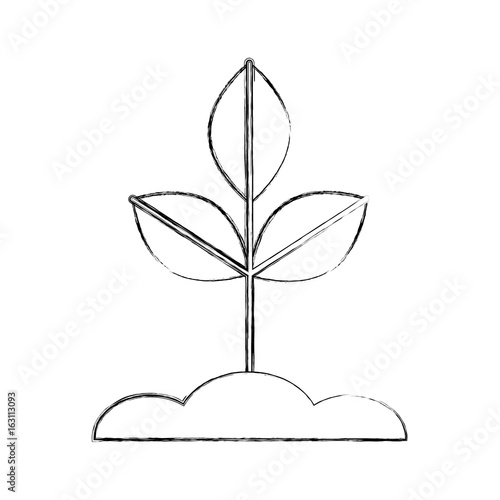 Cultivated plant isolated icon vector illustration design © Gstudio