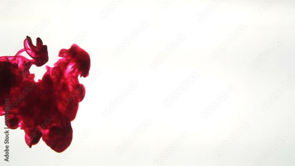 Color Ink flowing in water on white background, Slow motion
Color Ink flowing in water on white background, Slow motion
