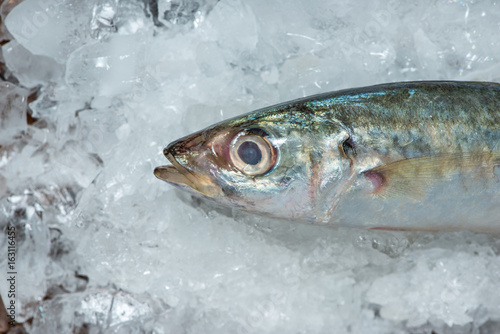 Fresh raw fish on ice on a wooden table.