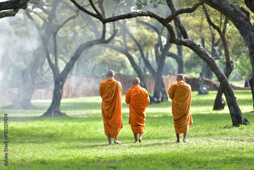 Photography The monk walks in the park, the monk meditates under the Buddha's tree at Wat Ayutthaya, the Buddhist monk temple in Thailand