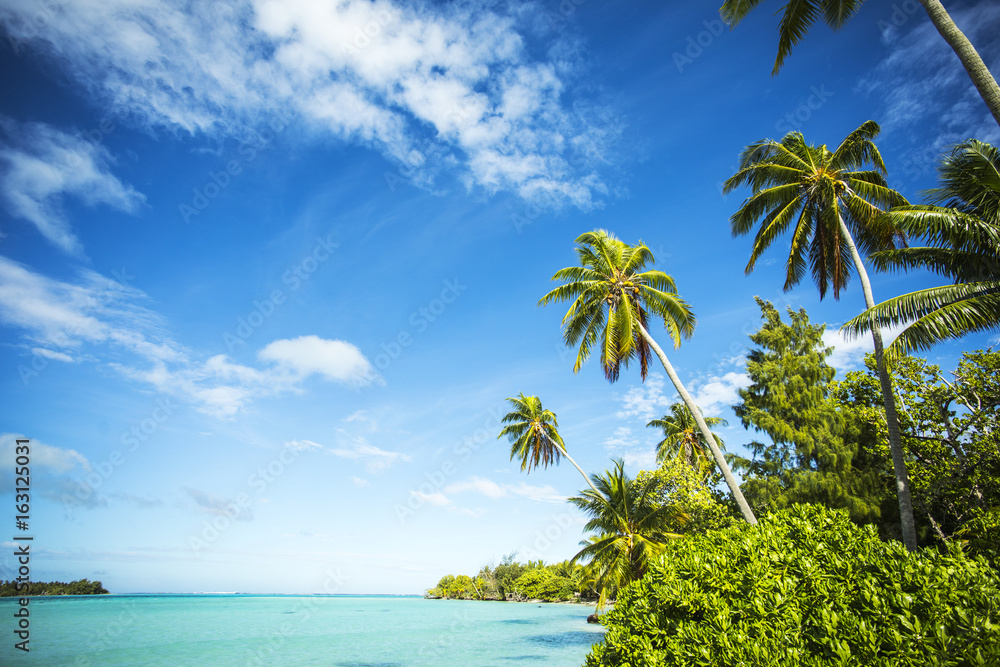 plage paradisiaque à tahiti en polynésie