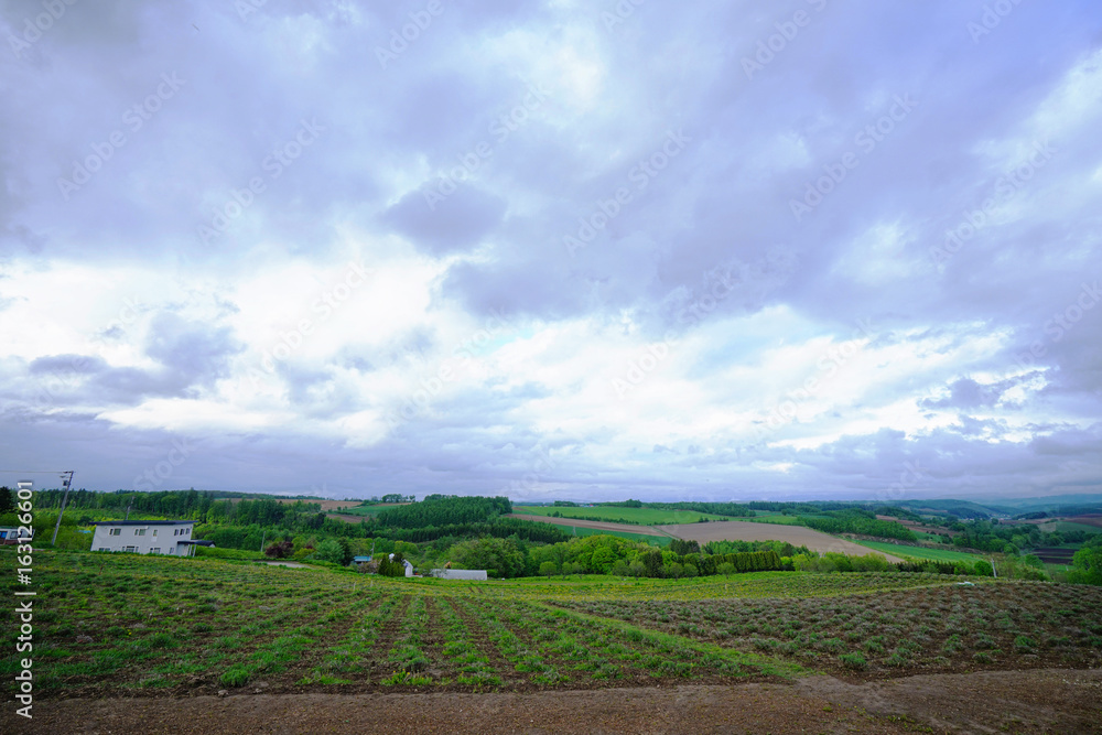   Hills / Agriculture area in Hokkaido