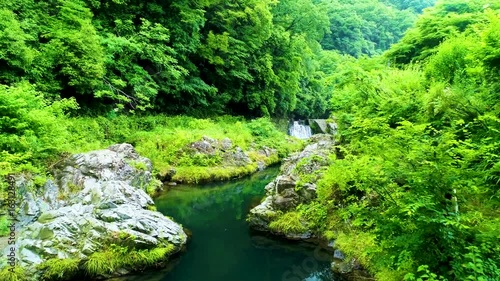 Aerial : Deep green forest and waterfall in Japan