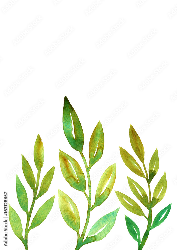 Fototapeta premium frame with watercolor doodle twigs with leaves