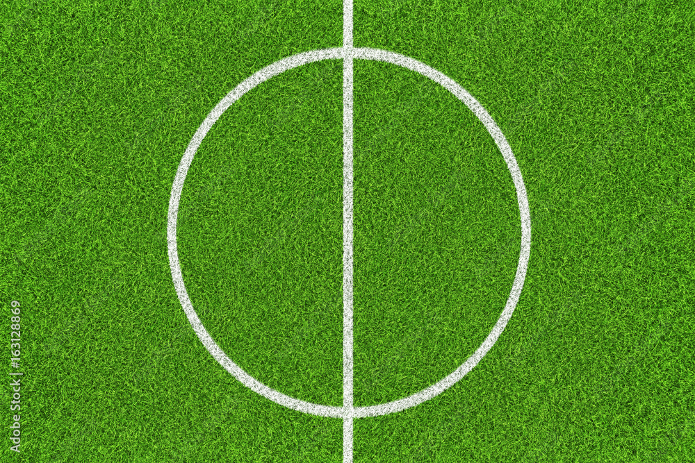 Fototapeta premium grass