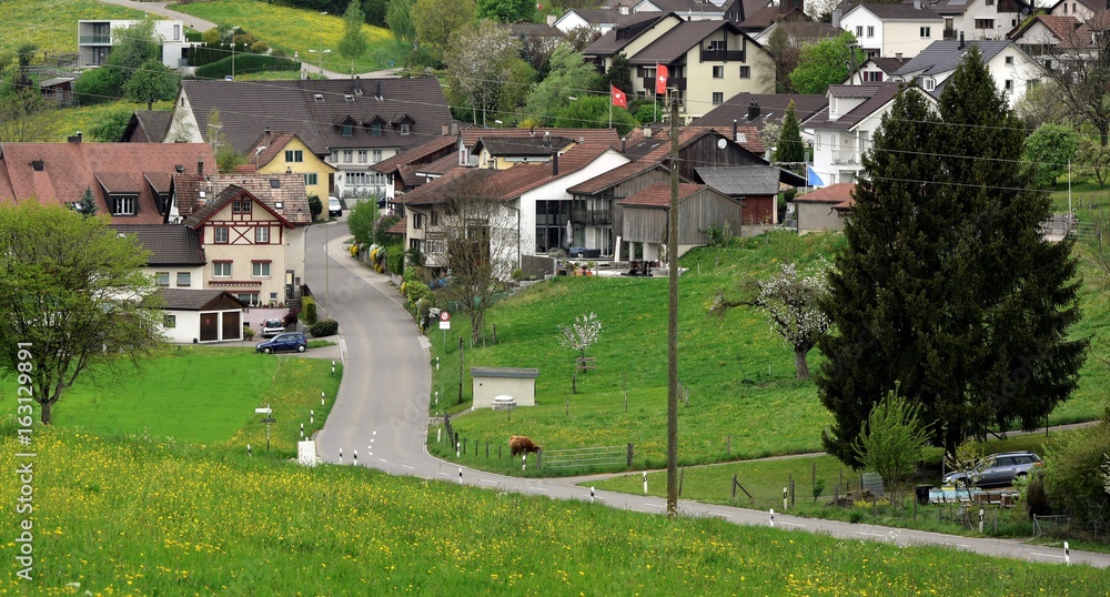 village...oberland zurichois