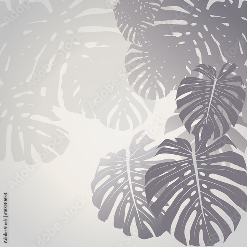 Fotoroleta dżungla wzór tropikalny roślina
