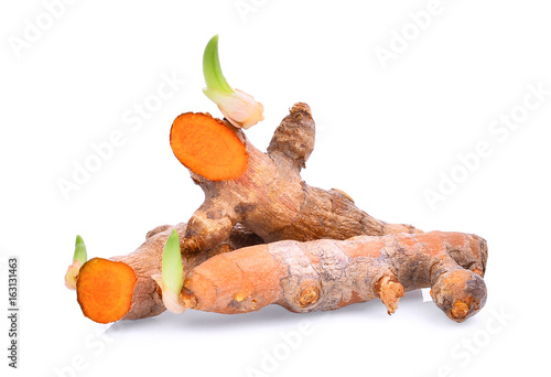tropical herbs, turmeric root with sapling isolated on white background