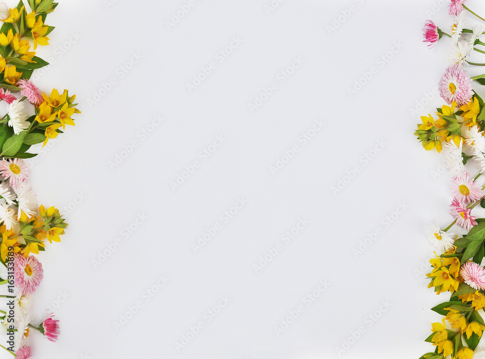 Frame from flowers of daisies and yellow bells on a white background - obrazy, fototapety, plakaty 