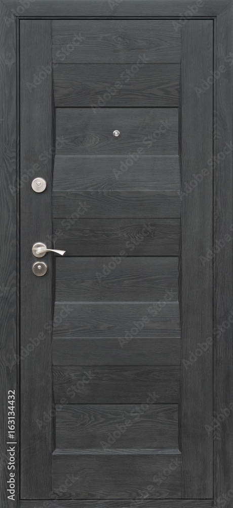Fototapeta premium Entrance door (metal door)