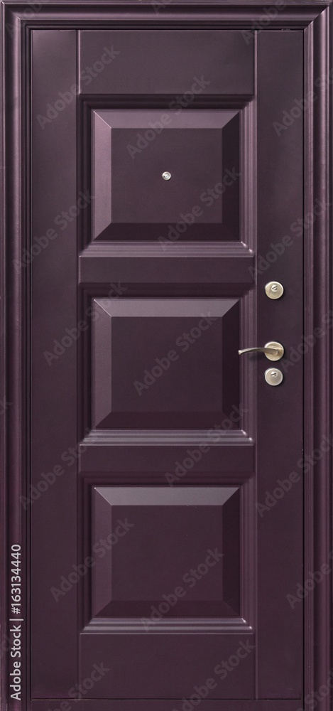 Obraz premium Entrance door (metal door)