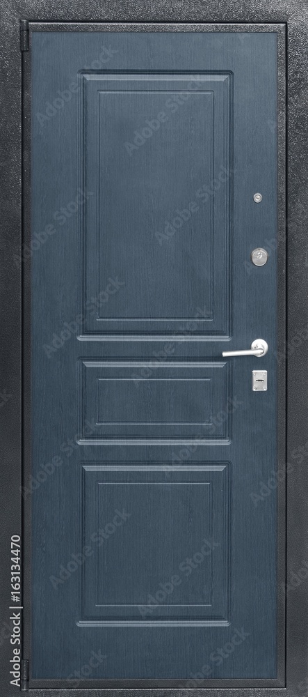 Entrance door (metal door) Entrance door (metal door)