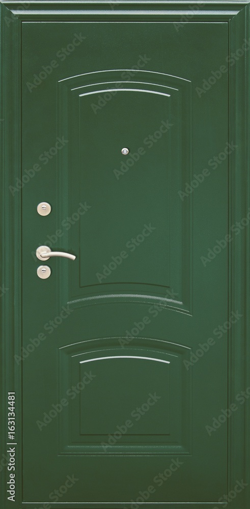 Entrance door (metal door) Entrance door (metal door)