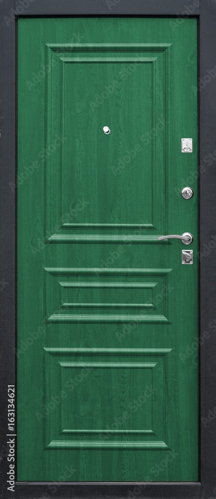 Entrance door (metal door) Entrance door (metal door)