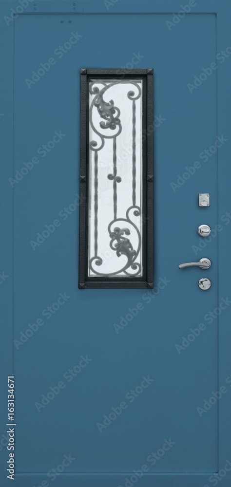 Obraz premium Entrance door (metal door)
