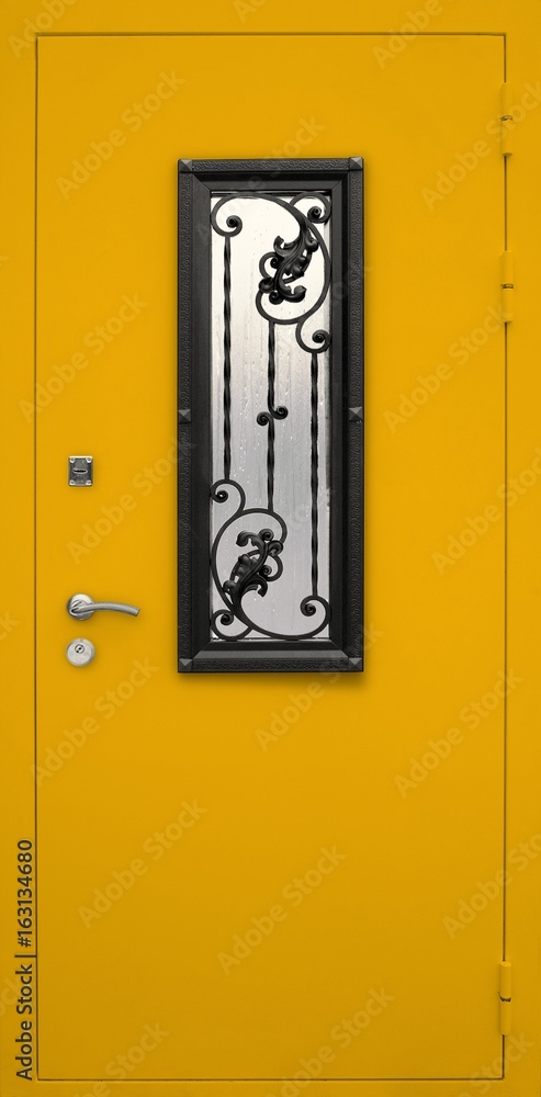 Obraz premium Entrance door (metal door)