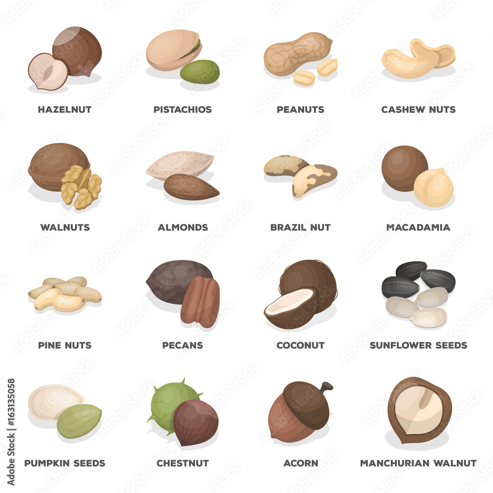 Nut Classifications Hazelnuts, peanuts, cashews, pistachios, and other varieties of nuts ...