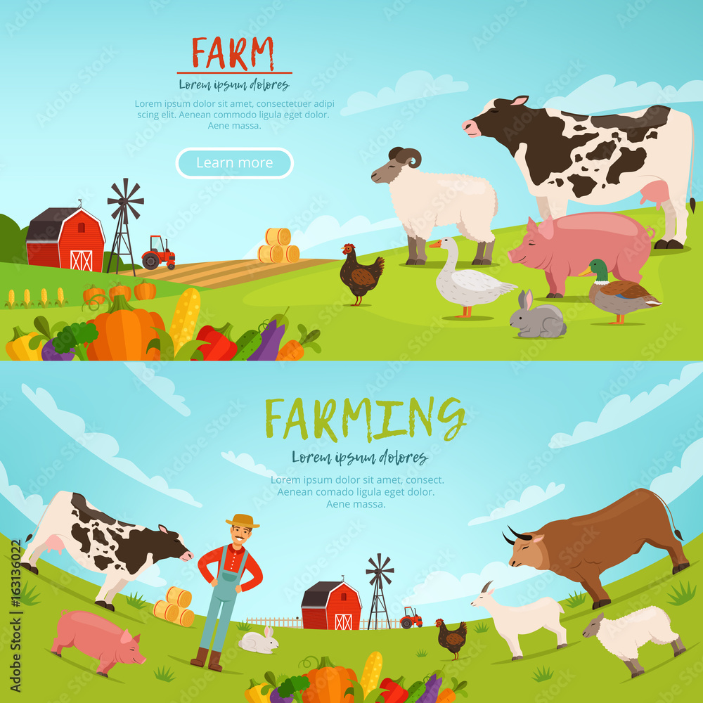 Agribusiness vector illustrations. Banners with farm landscape with house, transport and domestic animals Agribusiness vector illustrations. Banners with farm landscape with house, transport and domestic animals