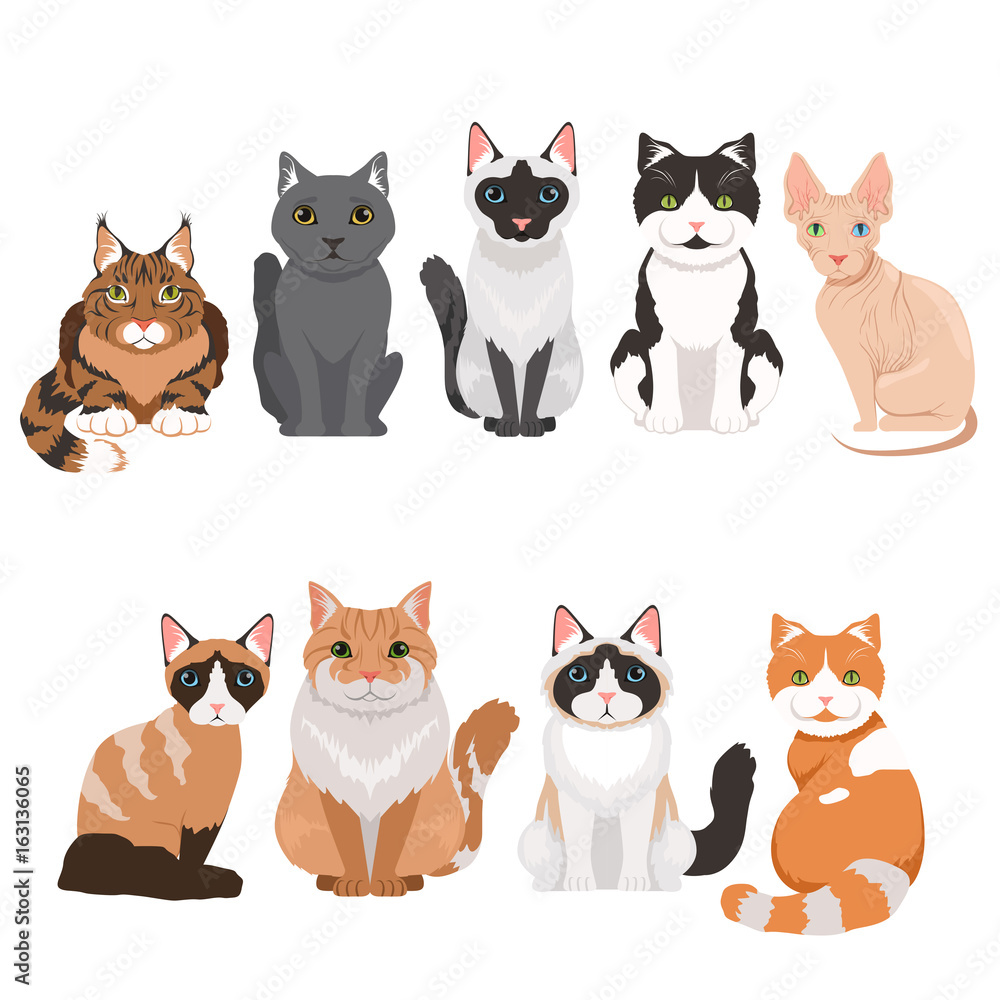 Domestic cats in cartoon style. Vector illustrations isolate on white Domestic cats in cartoon style. Vector illustrations isolate on white