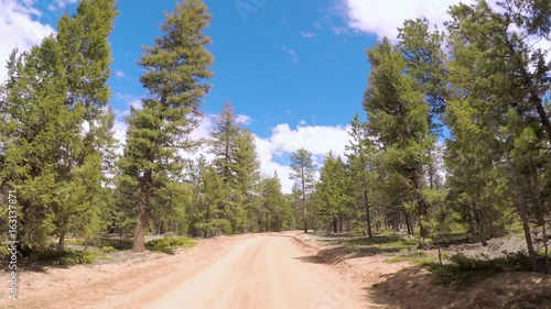 POV point of view -Dirt road in after forest fire area in the mountains near the Cheesman Lake in Colorado photo