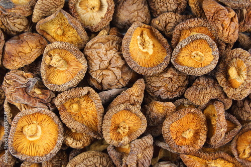 dried shiitake mushrooms closeup food background texture photo