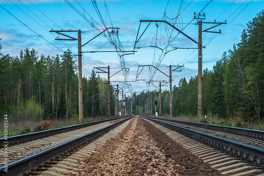 Railroad tracks in the scandinavian pine forest with blue cloudy sky in the background Railroad tracks in the scandinavian pine forest with blue cloudy sky in the background