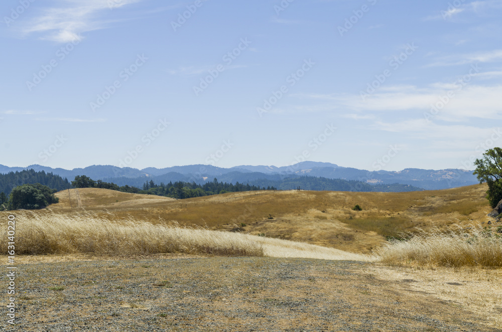 Pepperwood Preserve is a 3117 acre conservation area and nature preserve. Pepperwood Preserve is a 3117 acre conservation area and nature preserve.