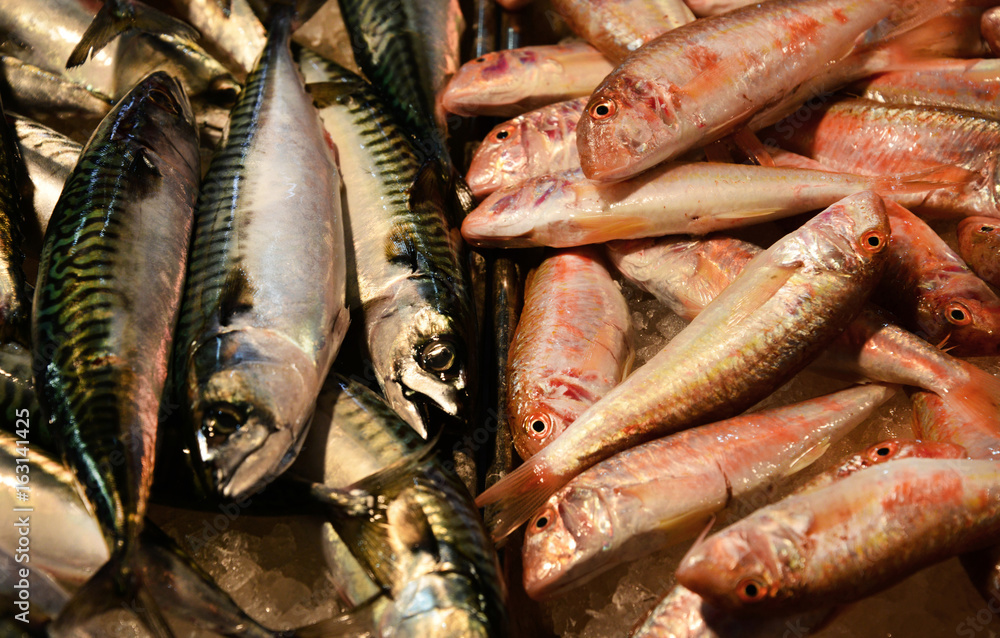Obraz premium Mackerel and Goatfish at fish market