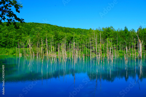 famous beautiful hokkaido blue pond