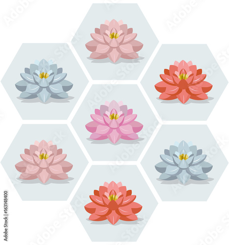 Waterlily flowers set pattern Vector illustration floral season