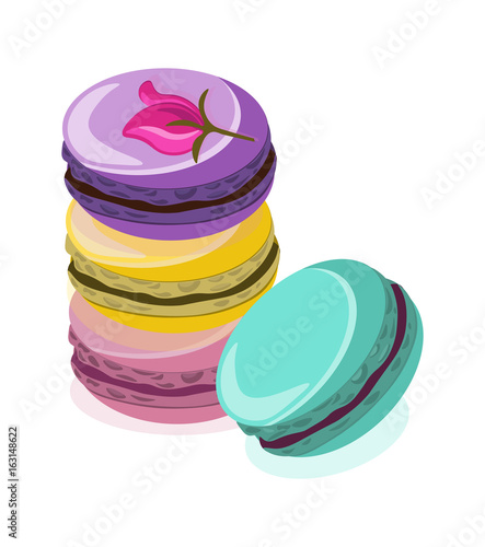 Delicious Macaroon colorful dessert Vector illustration