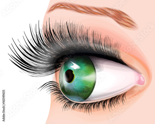 vector illustration with green eye with long lashes