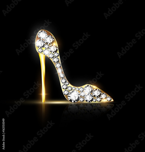 abstract jewelry shoe
