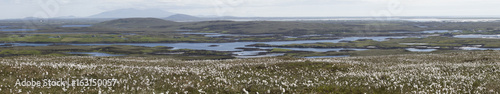 Federgras  Landschafts-Panorama North Uist    ussere Hebriden  Schottland