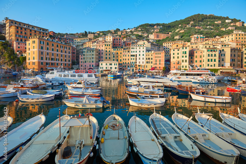 Camogli typical village with colorful houses and small harbor in Italy
