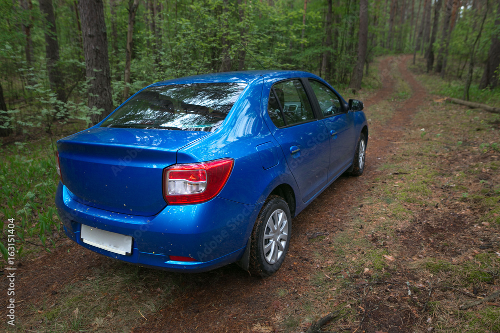 GOMEL, BELARUS - 24 MAY 2017: RENO LOGAN blue car parked in a dark pine forest. GOMEL, BELARUS - 24 MAY 2017: RENO LOGAN blue car parked in a dark pine forest.
