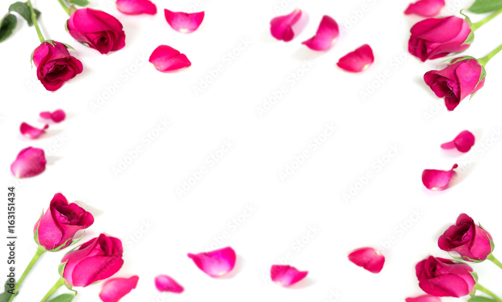 Pink rose with leaves isolated on white background for valentine's day or romantic event.(selective focus) Pink rose with leaves isolated on white background for valentine's day or romantic event.(selective focus)